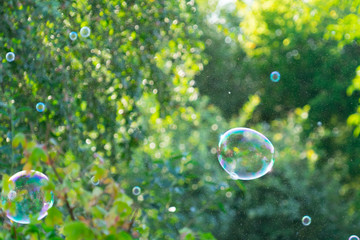bubbles are floating in the air. Place for your text.