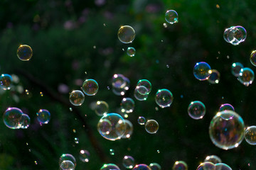 bubbles are floating in the air. Place for your text.