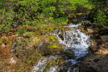 Fototapeta premium Waterfall in Huanglong Scenic Area in Sichuan Province, China. Water flowing over beautiful exotic natural yellow geological landforms, erosion over time. Chinese Yellow Dragon Terraces, National Park