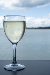 Glass of White Wine With an Ocean View as a Backdrop