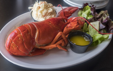 Whole Lobster Meal Served in a Restaurant in Prince Edward Island Canada