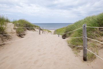 Fototapeta na wymiar Sand Dunes By the Sea in Prince Edward Island's Greenwich Area