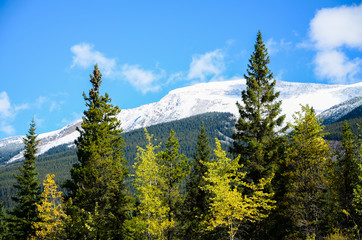 秋のカナディアンロッキーの山並み　ーアイスフィールド・パークウェイにて（カナダ・アルバータ州）