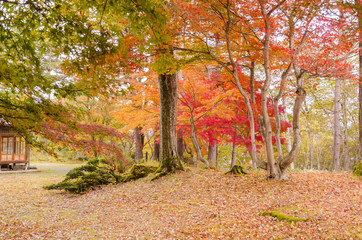 紅葉の福島県迎賓館
