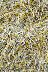 Photo hay. Background. Place for your text.