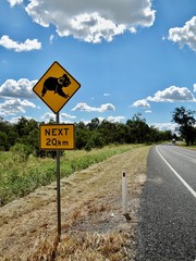Naklejka premium Koala Road Sign (Australia)