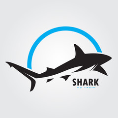 vector shark logo