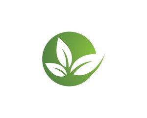 Tree leaf vector logo design