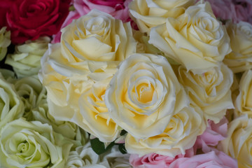 Beautiful flowers at the flower market in Thailand.