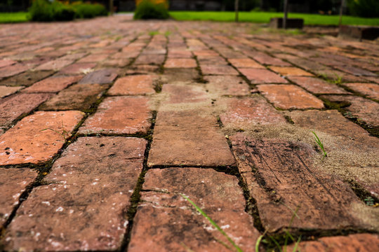 Close view of old vintage red brick pathway surrounded by green grass