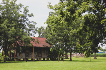 Isolated image of worn barn wood abandoned slave cabin with various antique items