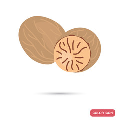 Nutmeg color flat icon