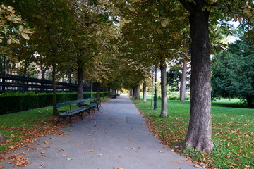 Obraz premium Quiet time on the park bench