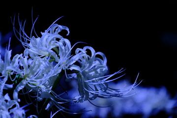 blue abstract background