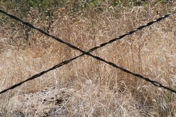 Barbed wire forming an ex.
