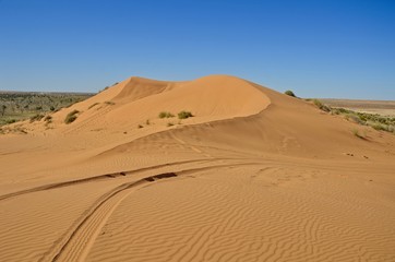 Fototapeta na wymiar Big Red Desert sands