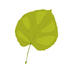 Green tree leaf color vector icon. Flat design