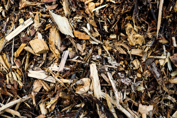 Various brown shades of wooden mulch texture with bark and lumber pieces