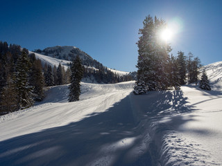 Fototapeta premium Skipiste im morgentlichen Gegenlicht, Lofer, Österreich