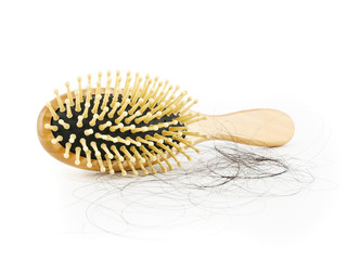 Hairs fall with comb or hairbrush isolated on white background,concept medical hair transplants or serious hair loss problem