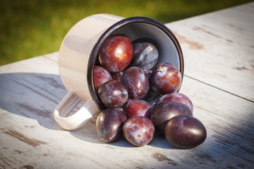 Plums spill out of metallic mug on wooden table in garden