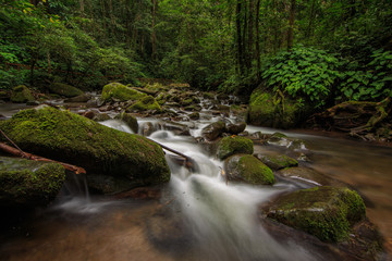 Deep forest waterfall Crocker Range Mahua Tambunan, Sabah,Malaysia