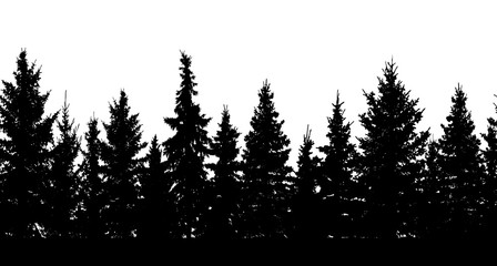 Fototapeta premium Seamless pattern. Silhouette of forest. Vector