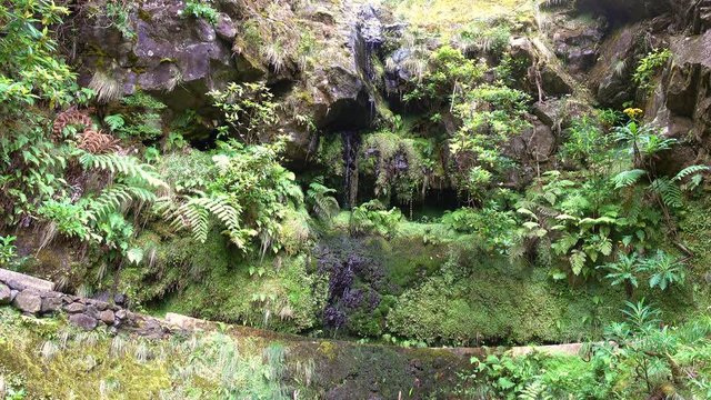 Small waterfall, hike from Portela to Ribeiro Frio along the levada da Portela, in the heart of the Laurissilva forest, listed as World Heritage
