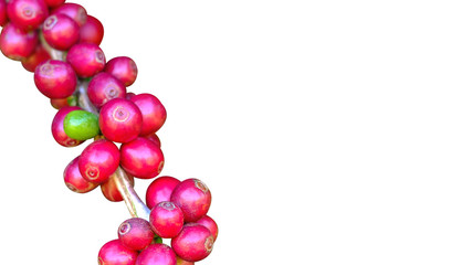 Fresh red coffee on a white background and copy space for text.