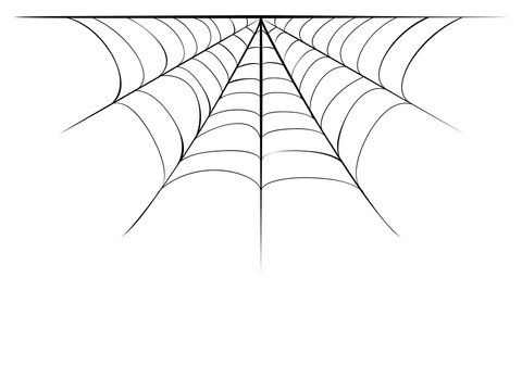 Decorative spider web border