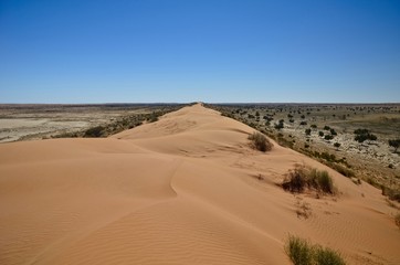 Fototapeta na wymiar Desert dune