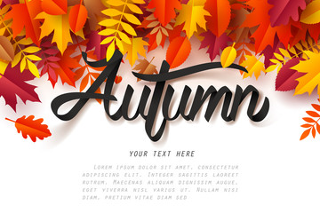 Paper art of Autumn calligraphy lettering on fallen leaves