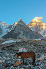 Mooie camping K2 basiskamp en Gondogoro la (pas) expeditie in Karakorum bereik, Skardu, Pakistan