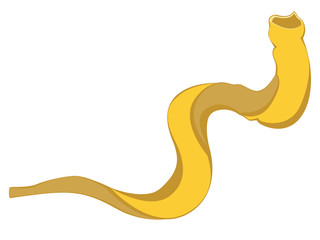 Jewish shofar illustration