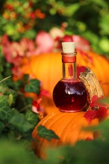 Potion for Halloween. Magic Potion.Autumn mood.Red tincture in a glass bottle on a large orange pumpkin