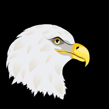 Stylized bald eagle head