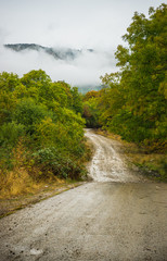 Fototapeta na wymiar Autumnal landscape of Kakheti region