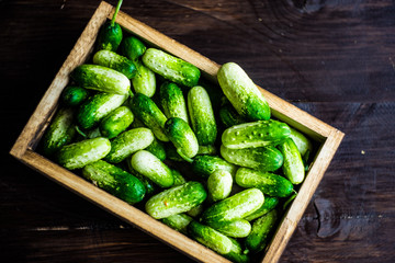 Organic food concept