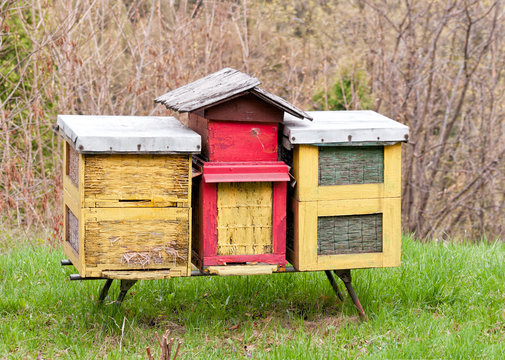 Painted wooden beehives