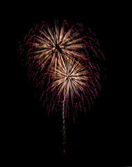 Color full fireworks, Fireworks, Fireworks on black background
