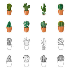 Vector illustration of cactus and pot logo. Collection of cactus and cacti stock vector illustration.