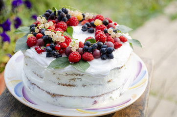 Bisquit cake with berries on top