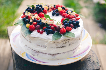 Bisquit cake with berries on top
