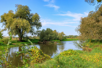 Obraz premium Small river with green trees and bushes on a shores against blue sky in sunny autumn morning. River landscape