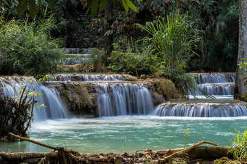 Fototapeta na wymiar Laos - Luang Prabang - Tat Kuang Si Wasserfälle