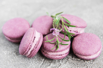 Obraz na płótnie Canvas french macarons with lavender flavor