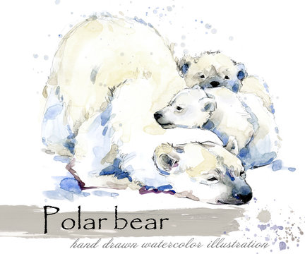 polar bear hand drawn watercolor illustration