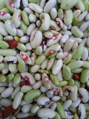different varieties of peeled beans close-up