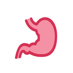 Human stomach. vector illustration.