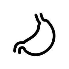 Human stomach. vector illustration.